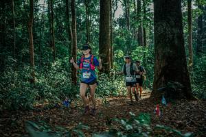 BIB: 
                            <button type="button" onclick="openModal(26128508)" class="btn btn-primary btn-sm float-right btn-popup" data-toggle="modal" data-target=".modal-high-quality">
                        <i class="fas fa-shopping-cart"></i> Add to Cart
                    </button>
                                            <button type="button" onclick="isThisMe(26128508, true)" class="btn btn-success btn-sm float-right btn-popup btn-isme hidden" data-toggle="tooltip" data-placement="bottom" title="นี่คือรูปของคุณใช่ไหม คลิกที่นี่เพื่อเอาเข้าอัลบั้ม">
                        <i class="fas fa-plus"></i> Add to album
                    </button>
                    <button type="button" onclick="isThisMe(26128508, false)" class="btn btn-warning btn-sm float-right btn-popup btn-isnotme hidden">
                        <i class="fas fa-ban"></i> Remove from album
                    </button>